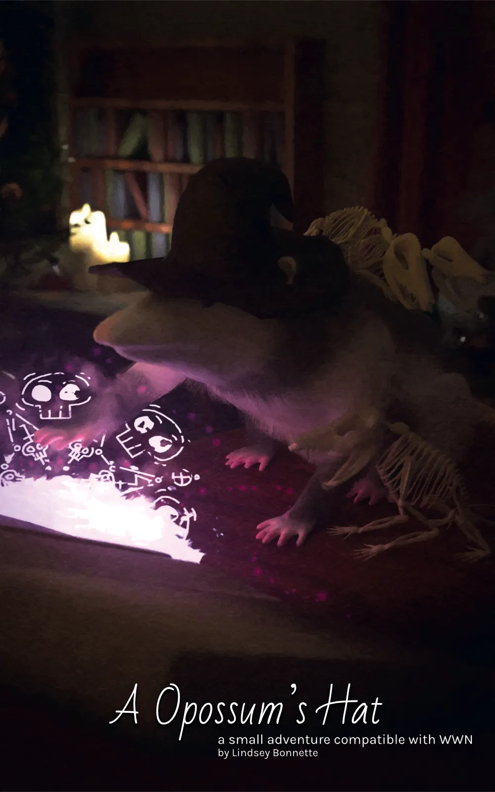 Cover art for A Opossum's Hat