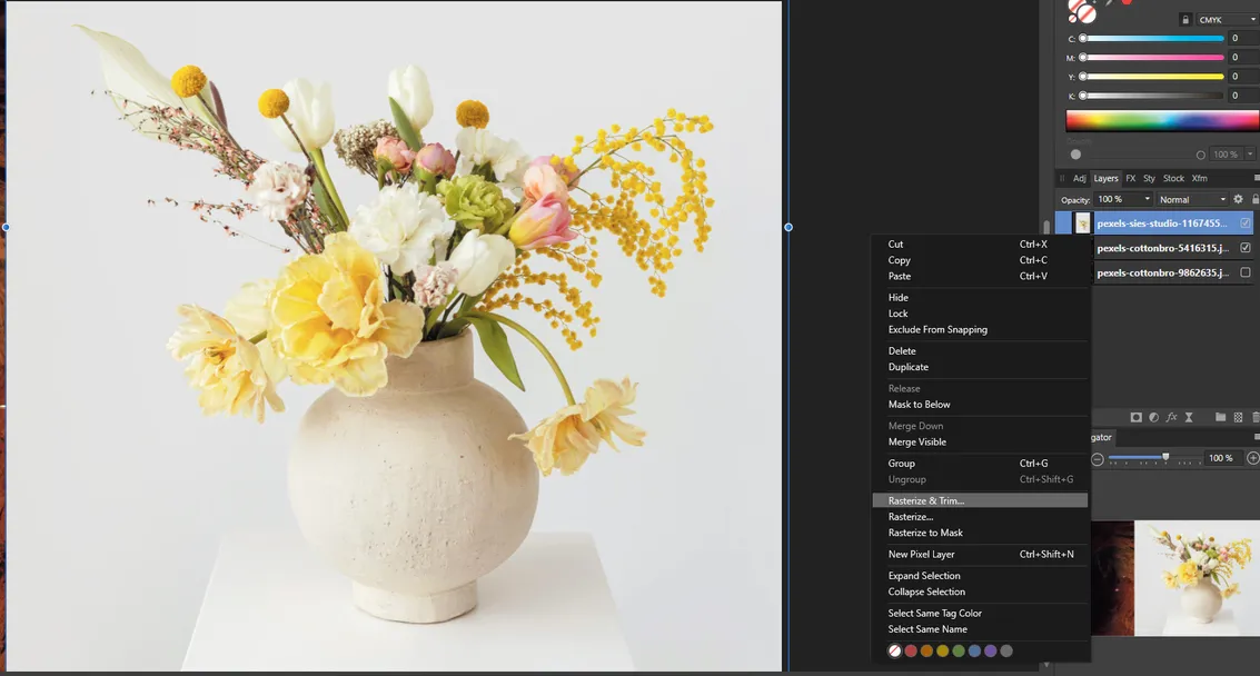 image showing buttons in affinity publisher
